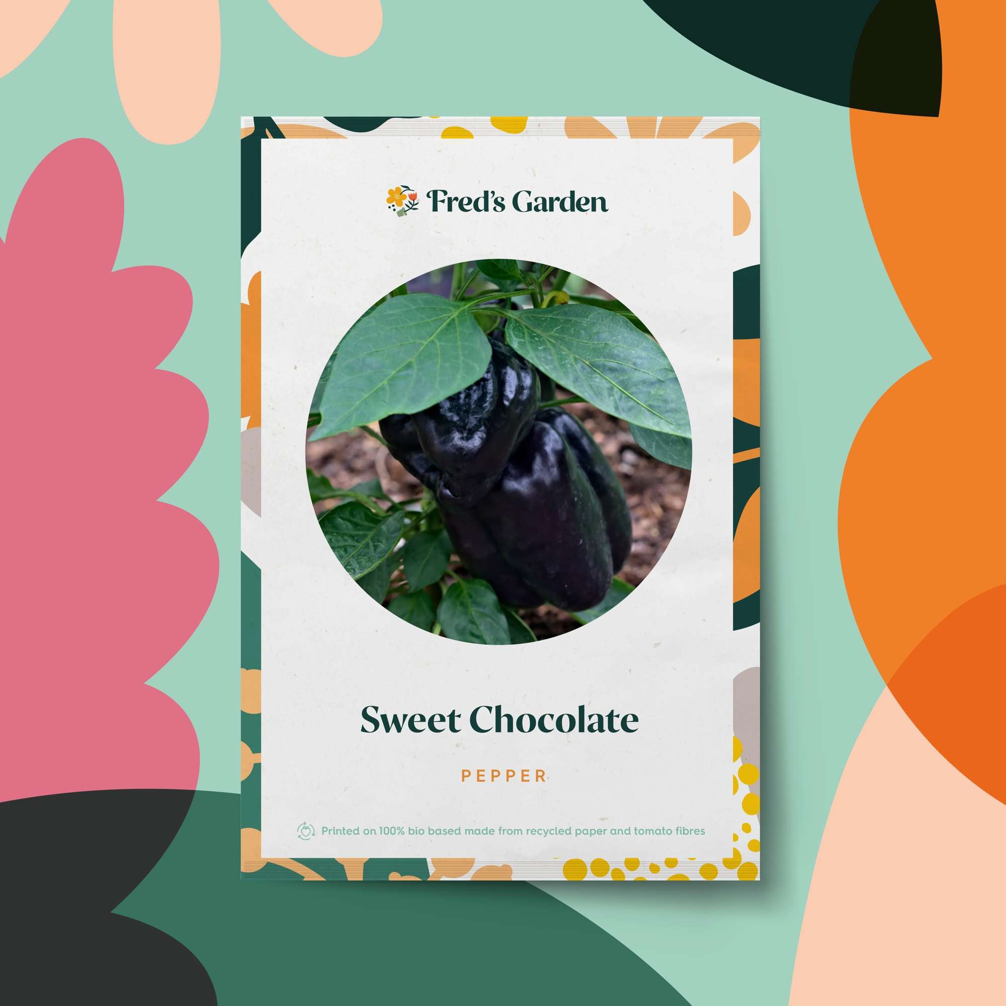 Paprika 'Sweet Chocolate' (frö)